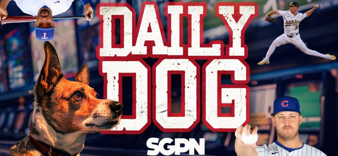 Underdog Picks for Tuesday (6/11)