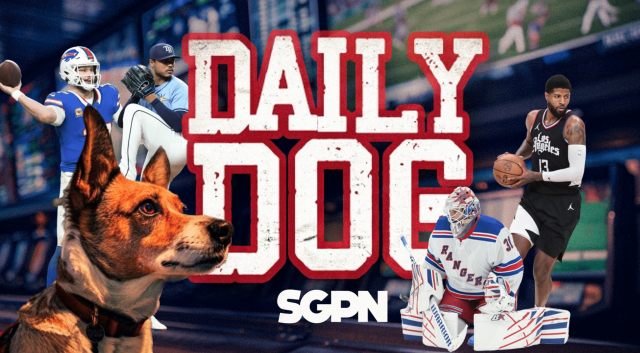 underdog picks page