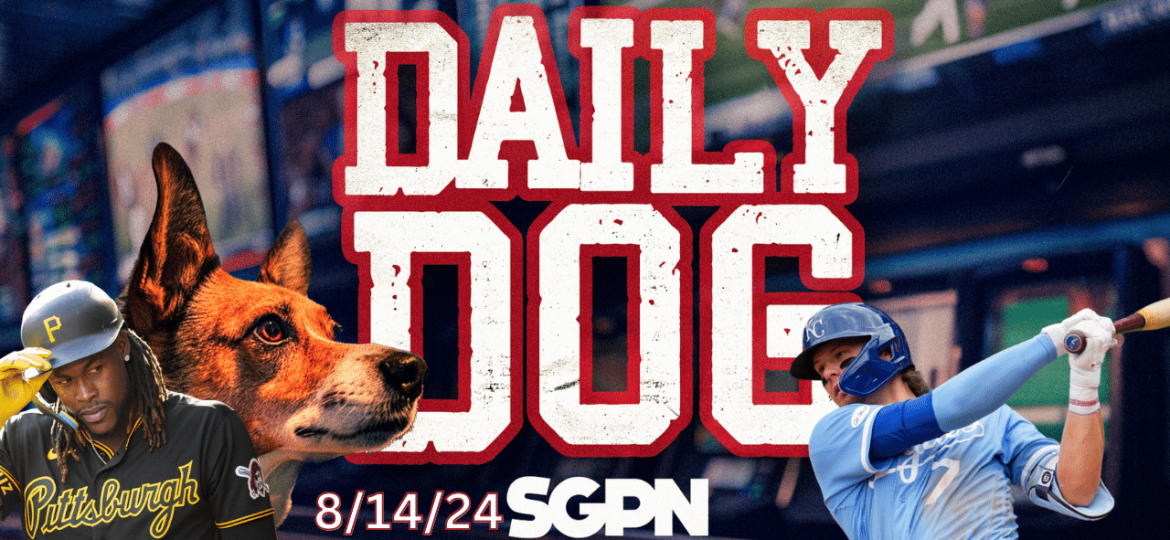 Underdog Picks for Wednesday (8/14) | THE DAILY DOG (Ep. 52)