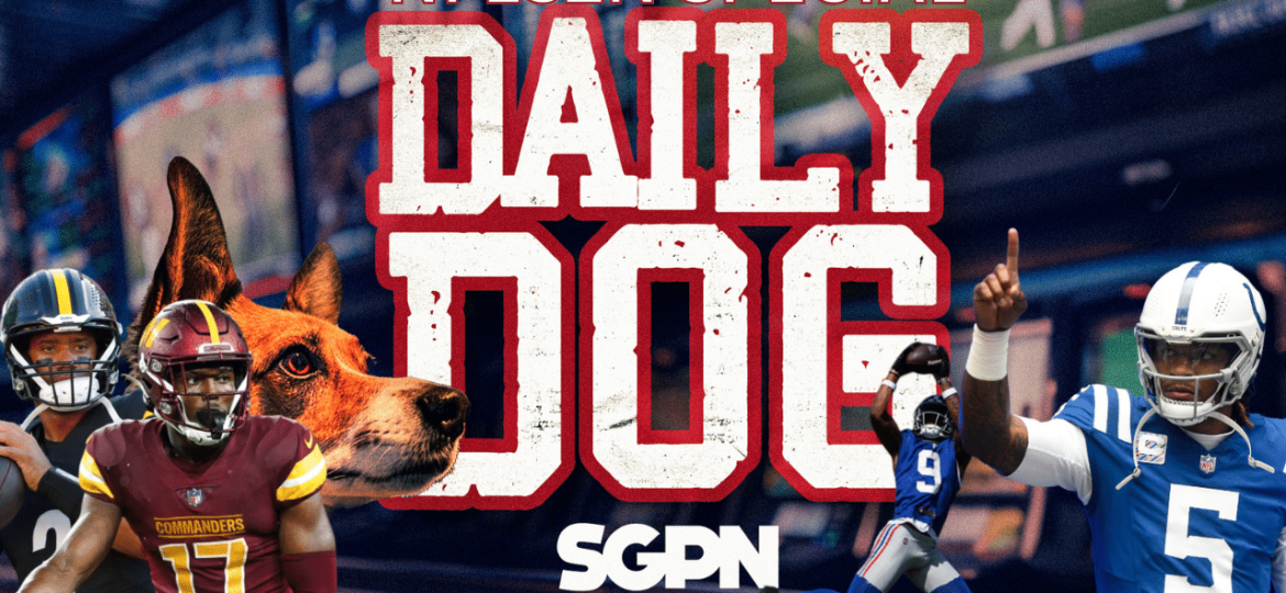 Underdog Picks for The NFL Season | The Daily Dog Special