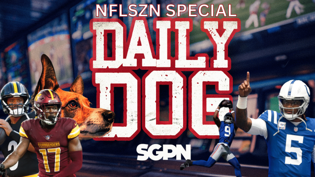 Underdog Picks for The NFL Season | The Daily Dog Special