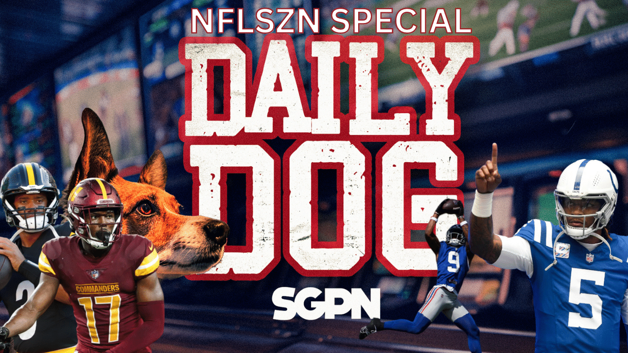 Underdog Picks for The NFL Season | The Daily Dog Special
