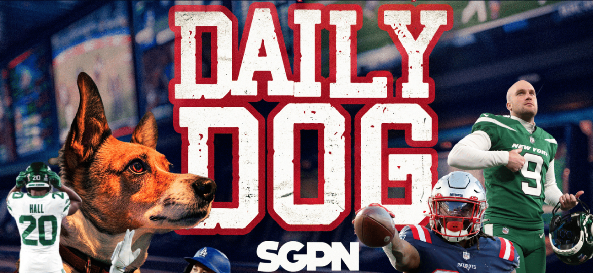 Underdog Picks for Tuesday (9/17) | THE DAILY DOG (Ep. 77)