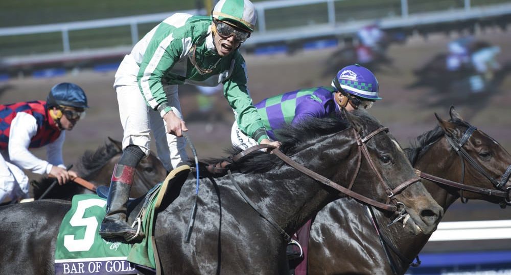HORSE RACING: NOV 04 Breeders' Cup