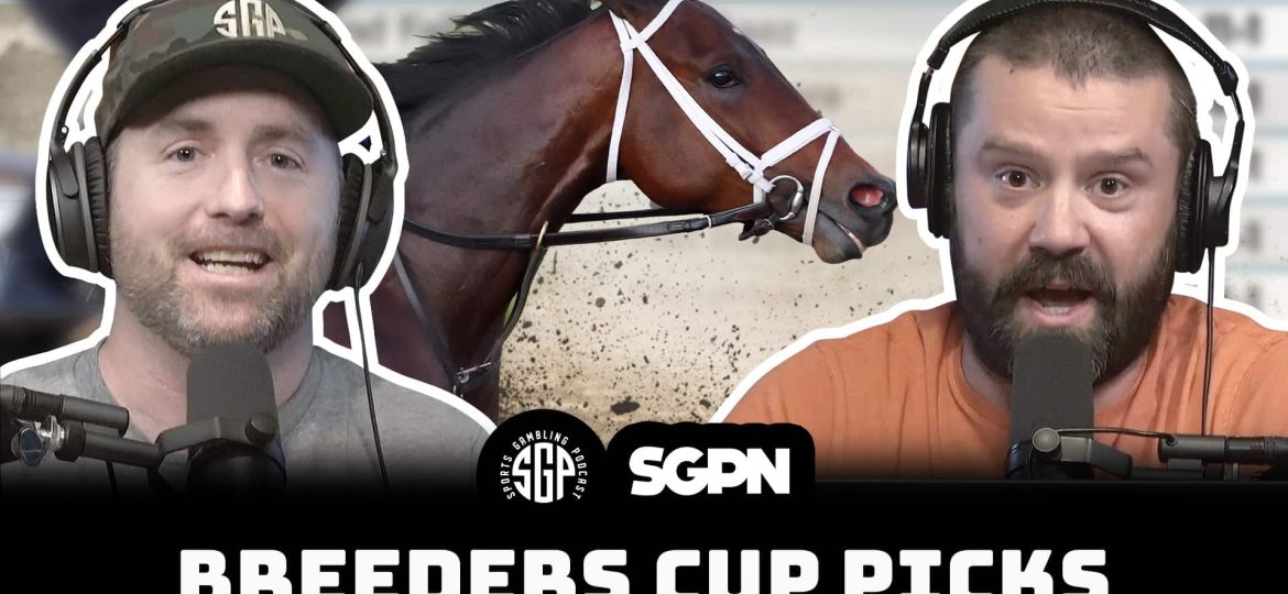 breeders' cup picks