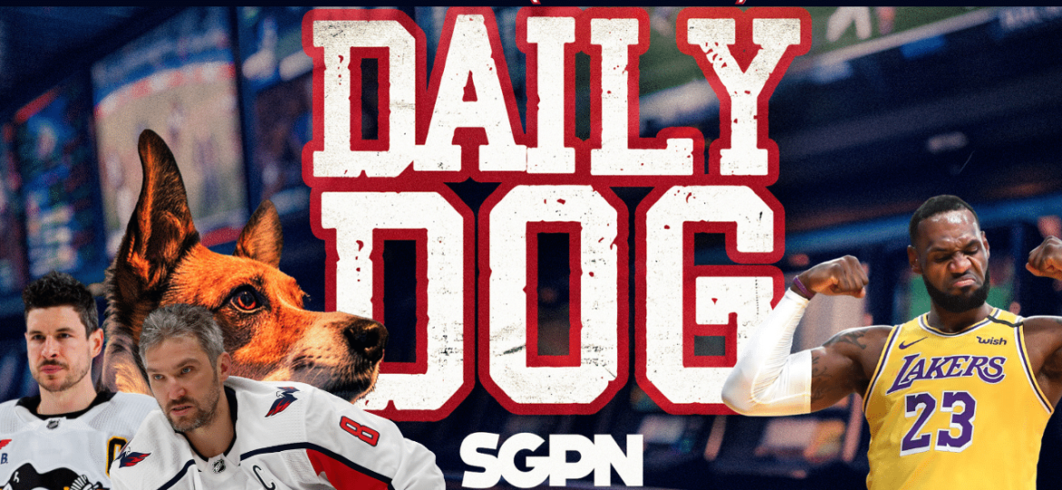 Underdog Picks for Friday (11/8)