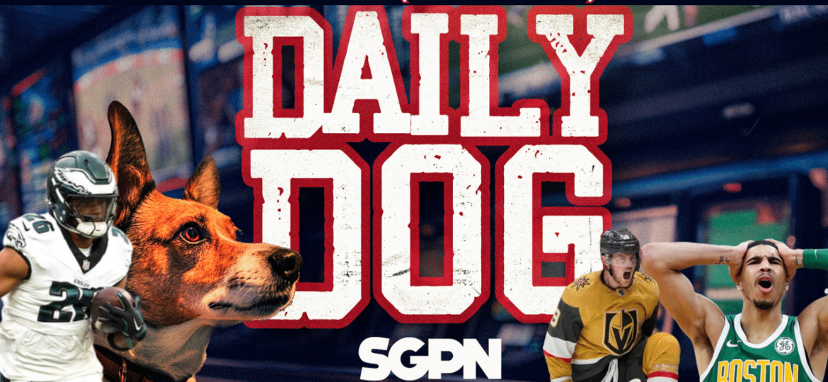 Underdog Picks for Wednesday (11/13)