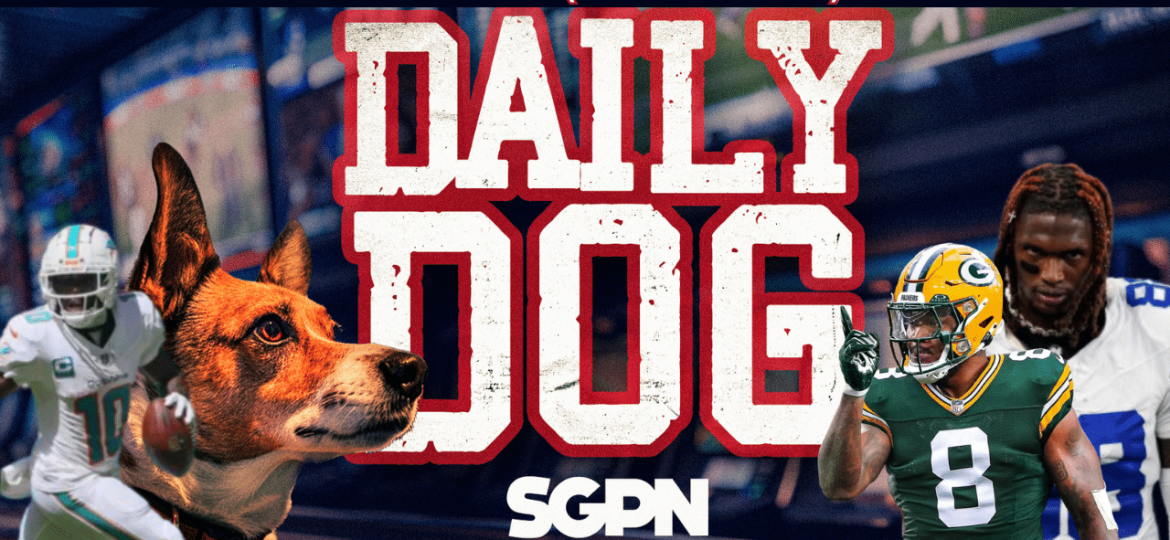 Underdog Picks for Thursday(11/28)