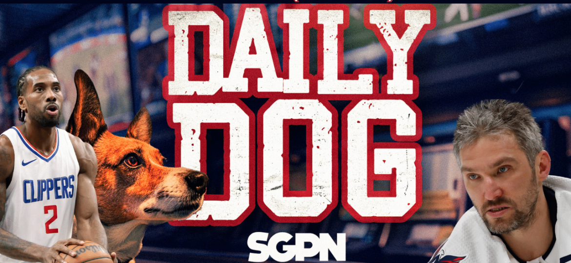 Underdog Picks for Wednesday (1/8)