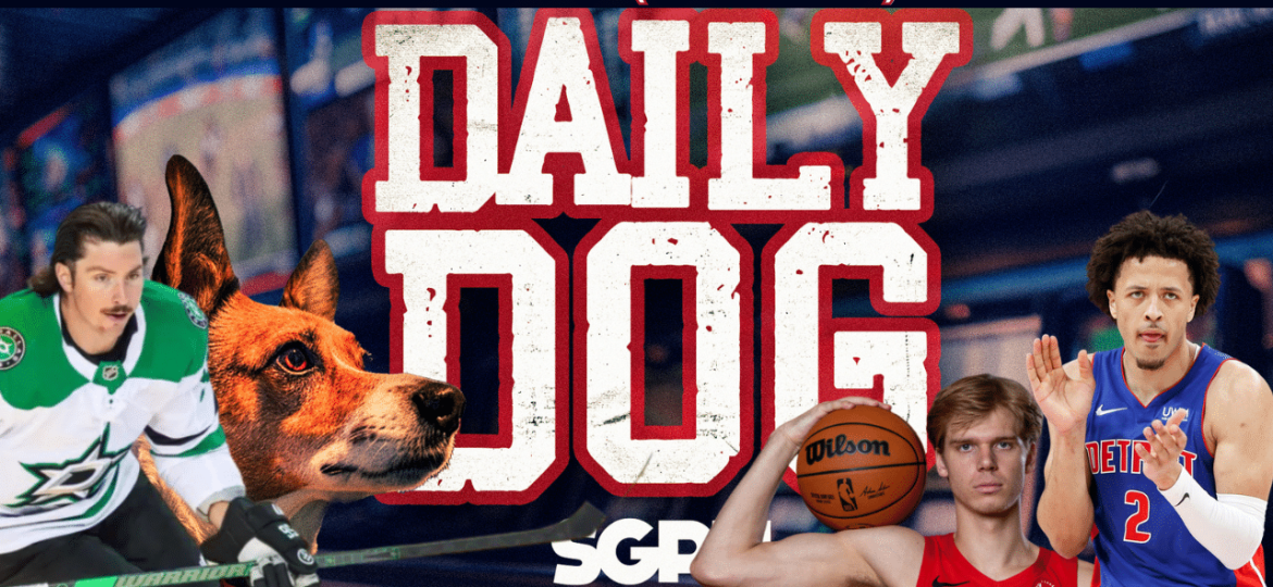 Underdog Picks for Friday (2/28)