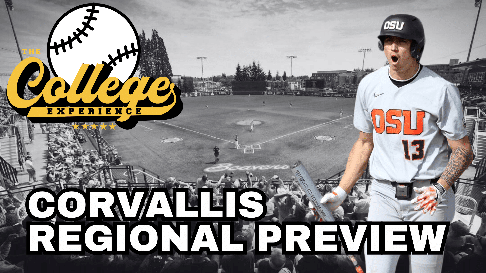 Corvallis Regional Preview - 2025 NCAA Baseball Tournament Betting Odds