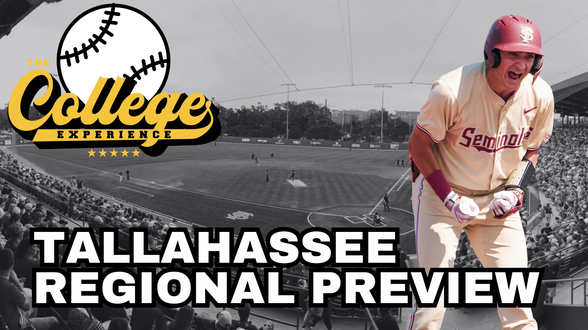 Tallahassee Regional Preview - 2025 NCAA Baseball Tournament Betting Odds