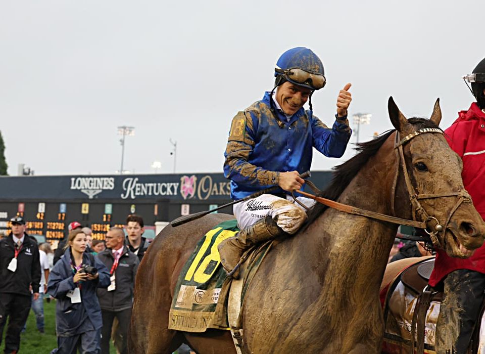 Belmont Stakes 2025 - Analysis and Picks