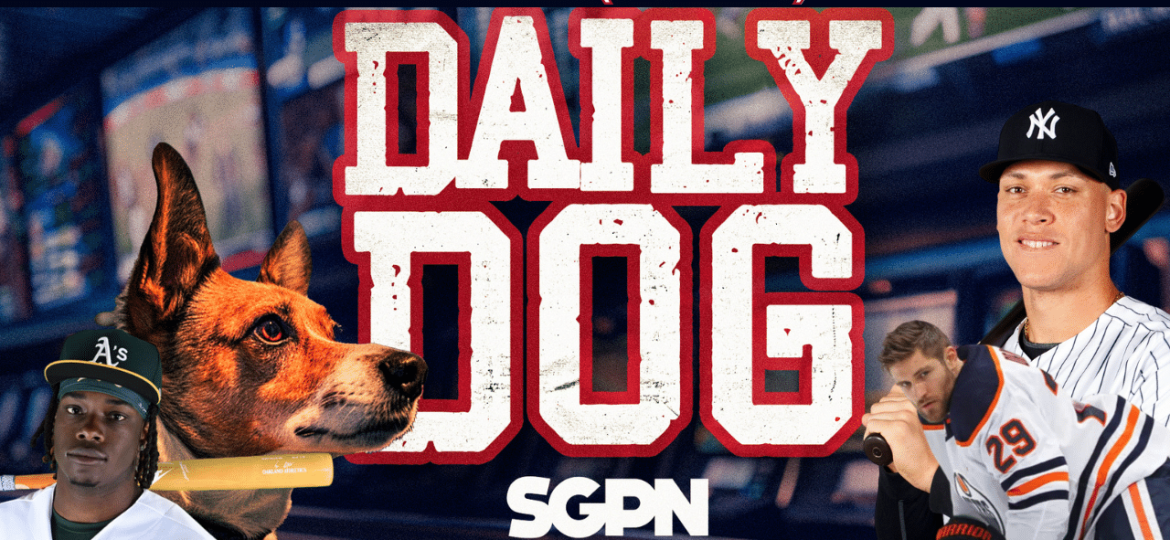 Underdog Picks for Tuesday (6/3)