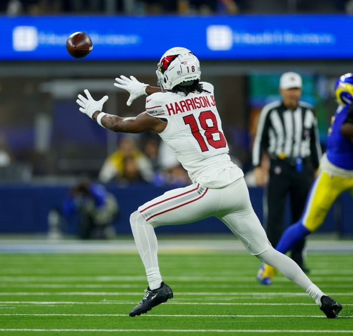 2025 NFL Best Bets: Arizona Cardinals