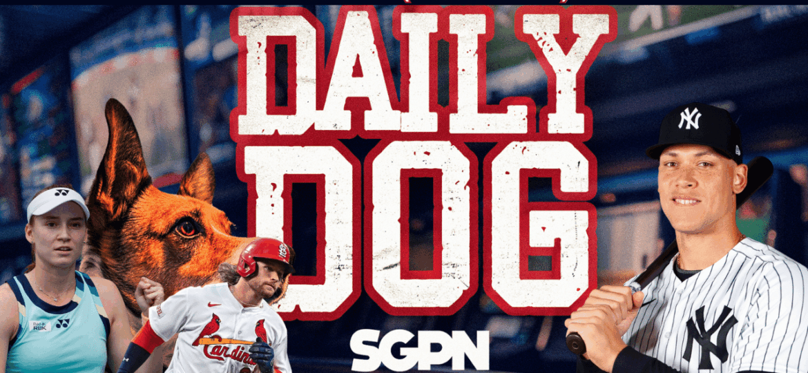 Underdog Picks for Wednesday (7/23)