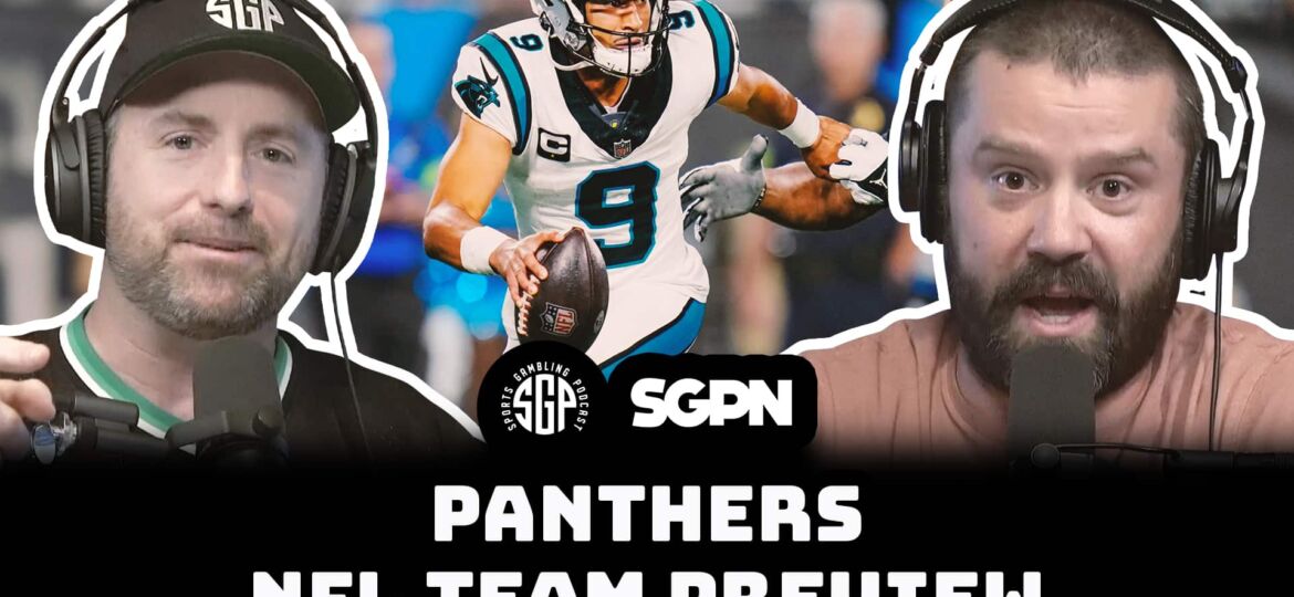 Panthers NFL Team Preview
