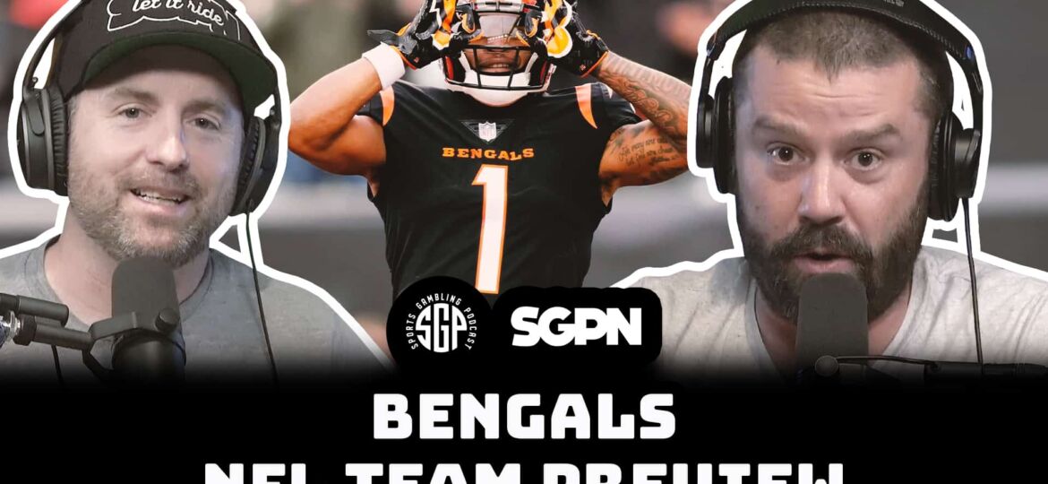 Bengals NFL Team Preview (2025)