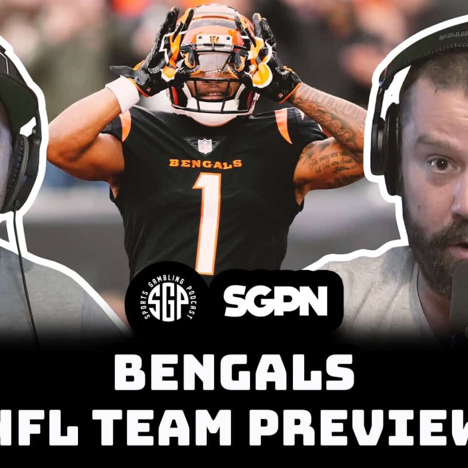 Bengals NFL Team Preview (2025)