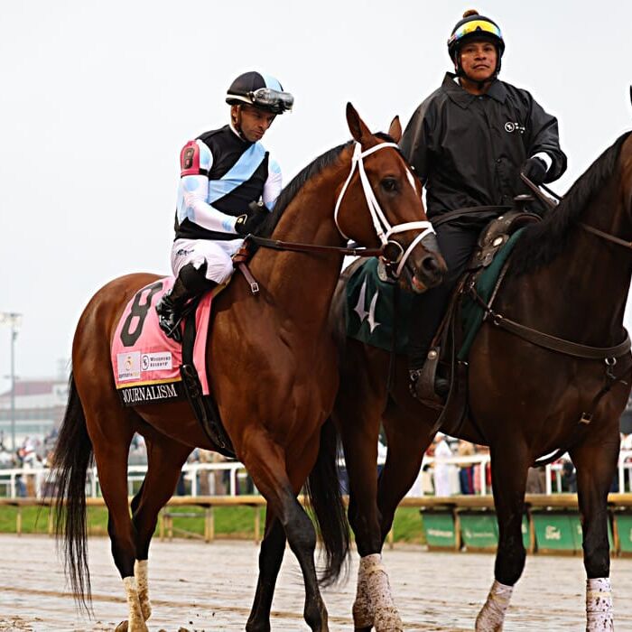 The 2025 Breeders' Cup Championships are here, which comes with the 2025 Breeders' Cup Classic. Come check out the odds for the $7 Million.