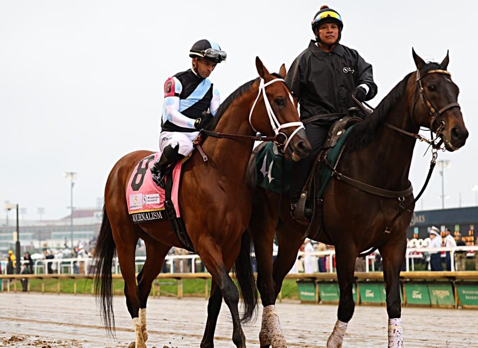 The 2025 Breeders' Cup Championships are here, which comes with the 2025 Breeders' Cup Classic. Come check out the odds for the $7 Million.