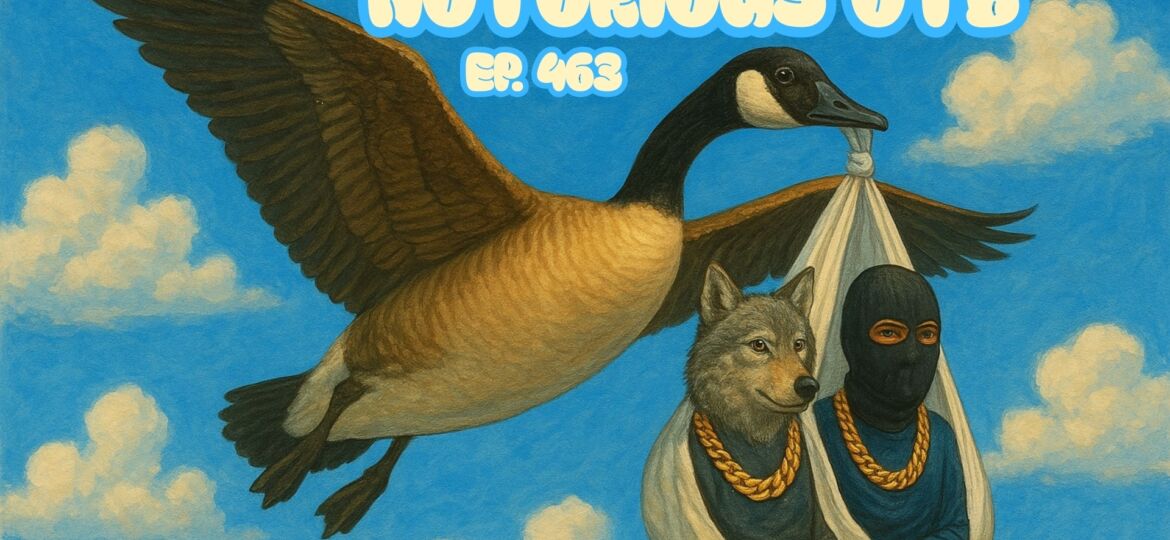 Saturday Aqueduct 11/8/2025 $100 Budget Bets w/ Matthew DeSantis! | The Notorious OTB - Daily Horse Racing Picks (Ep. 463)
