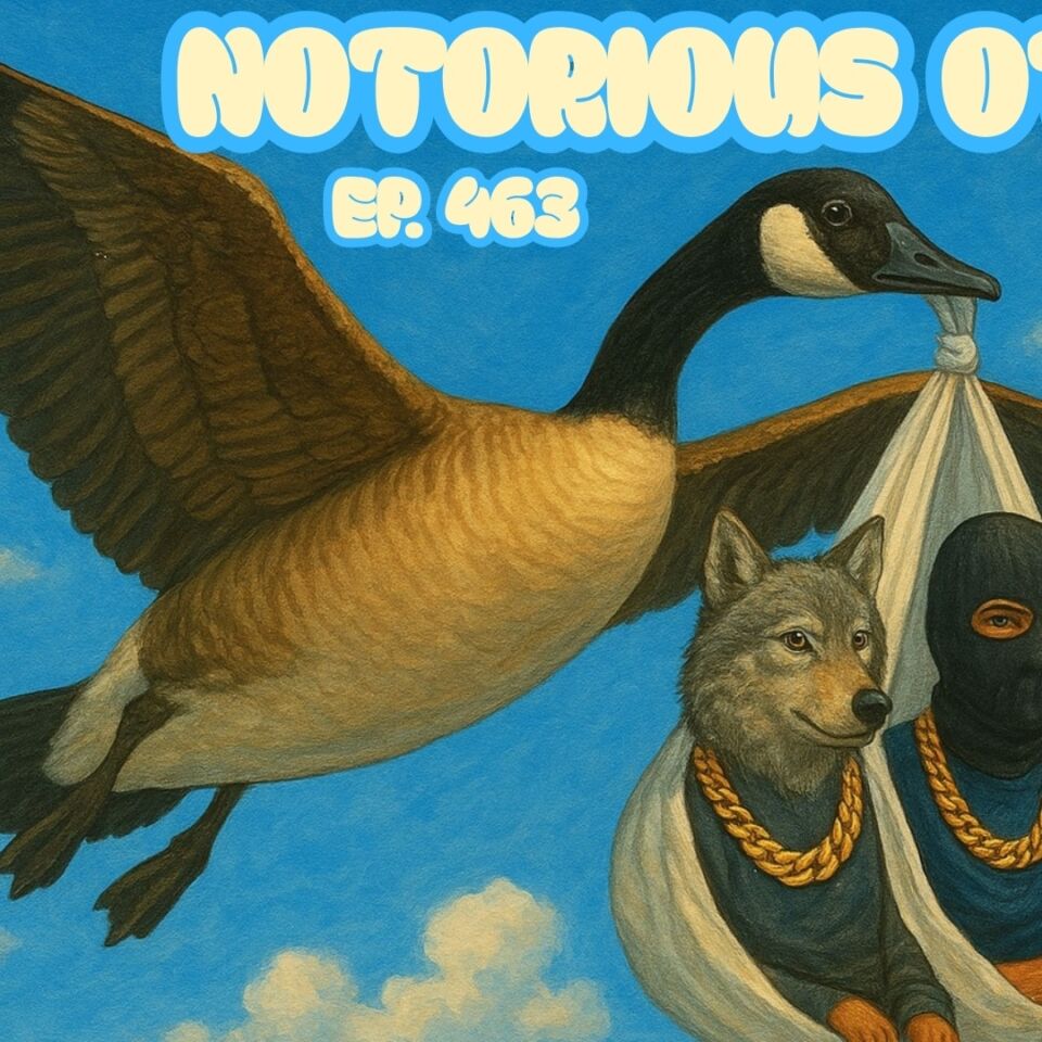 Saturday Aqueduct 11/8/2025 $100 Budget Bets w/ Matthew DeSantis! | The Notorious OTB - Daily Horse Racing Picks (Ep. 463)