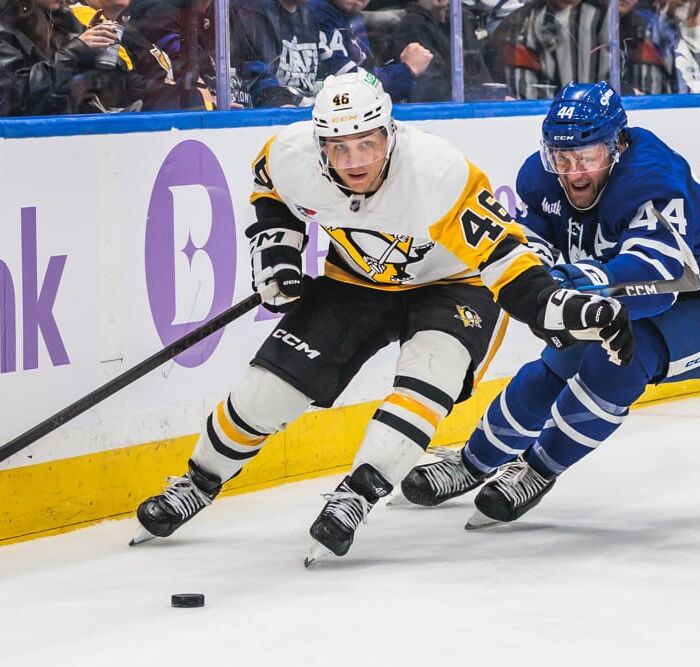 Best Bet For Saturday (November 29th): NHL Predictions