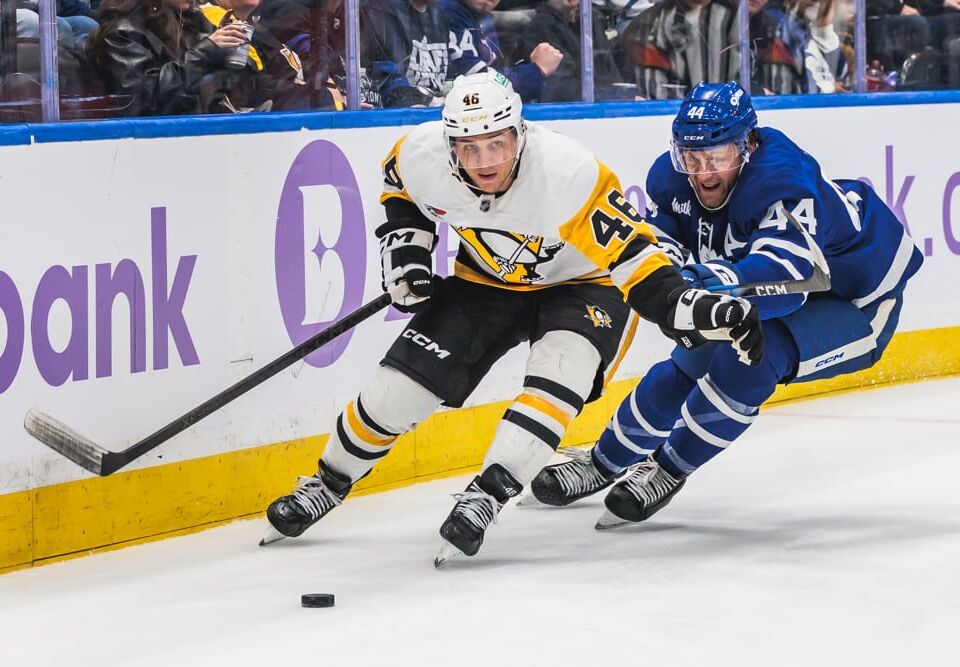 Best Bet For Saturday (November 29th): NHL Predictions