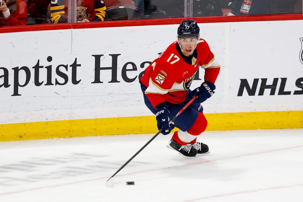 Best Bet For Friday (January 2nd): NHL Winter Classic Predictions