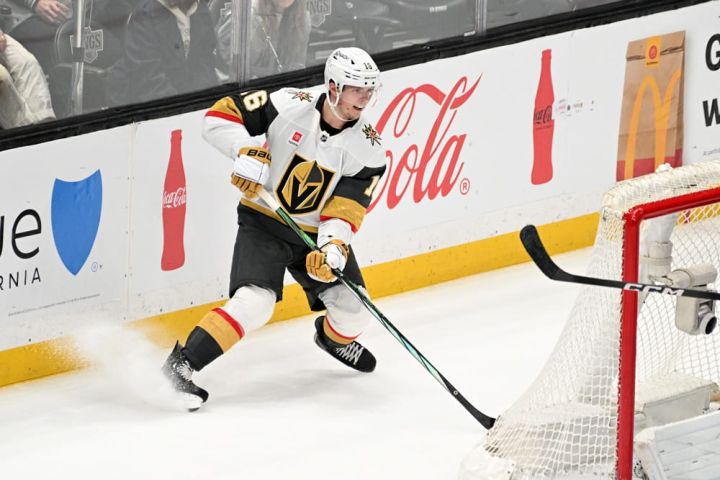 NHL Goal Scorer Parlay For Sunday (March 8th): NHL Predictions - Sports ...