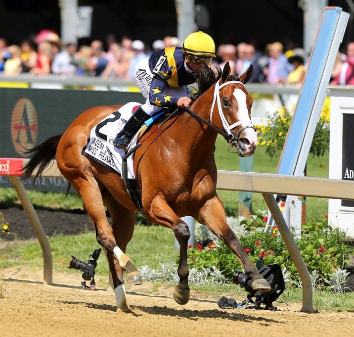 HORSE RACING: MAY 17 Black Eyed Susan Stakes