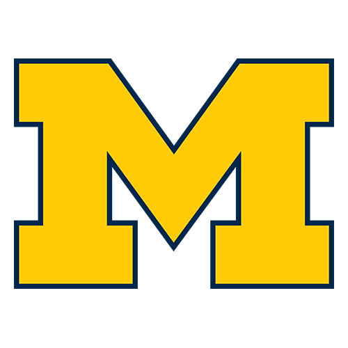 Michigan Wolverines logo