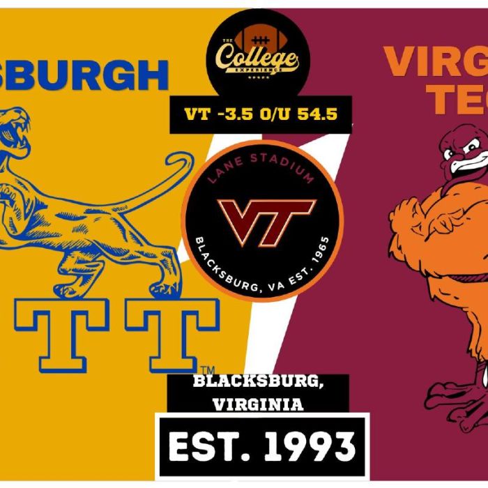 Pittsburgh vs Virginia Tech Prediction & Picks: College Football Week 5