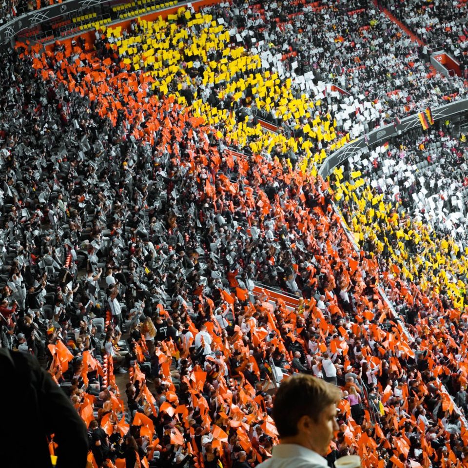 stadium fans