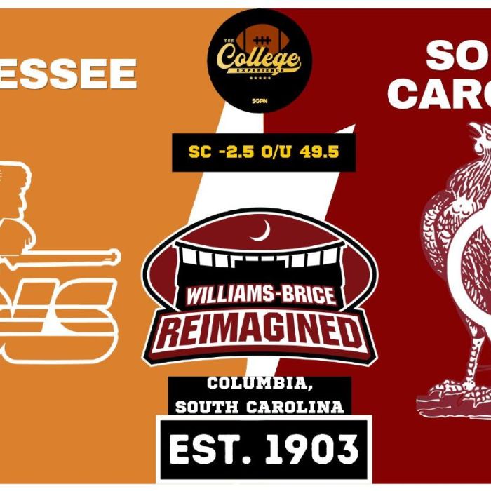 Tennessee vs South Carolina Prediction & Picks: College Football Week 8