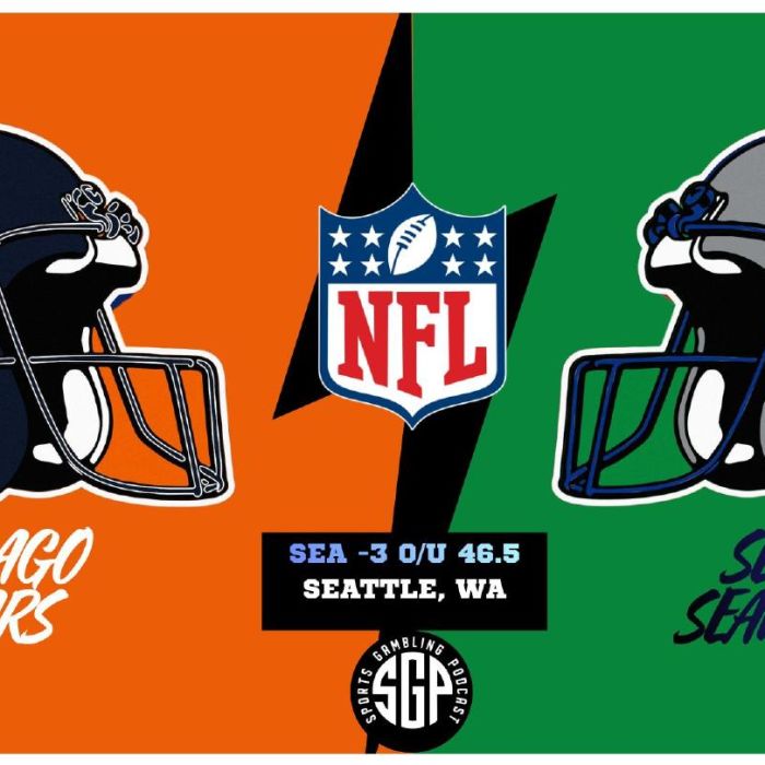Bears vs Seahawks Prediction & Picks: NFL Week 8